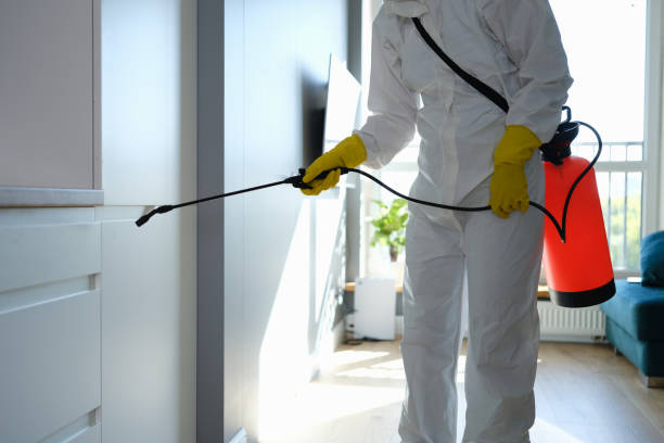 Best Health and Safety Mold Remediation in Ivins, UT